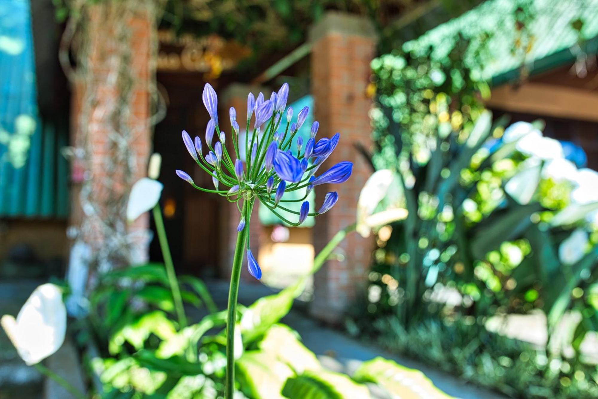 Hotel Villa Zurqui San Isidro  Kültér fotó